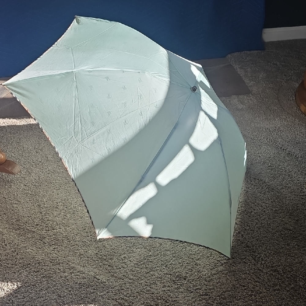 Burberry Light Green Umbrella